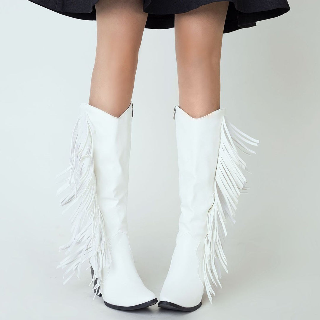 Women's fashion tassels mid calf boots pointed toe fringe boots