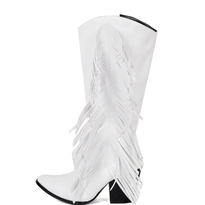 Women's fashion tassels mid calf boots pointed toe fringe boots